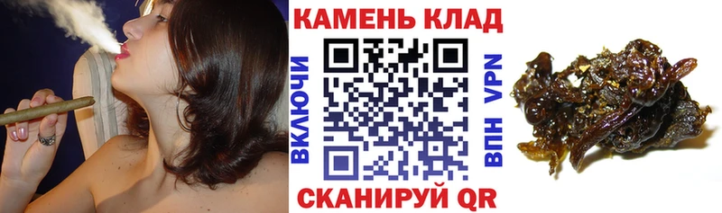 Гашиш Premium  MEGA ТОР  Кологрив 