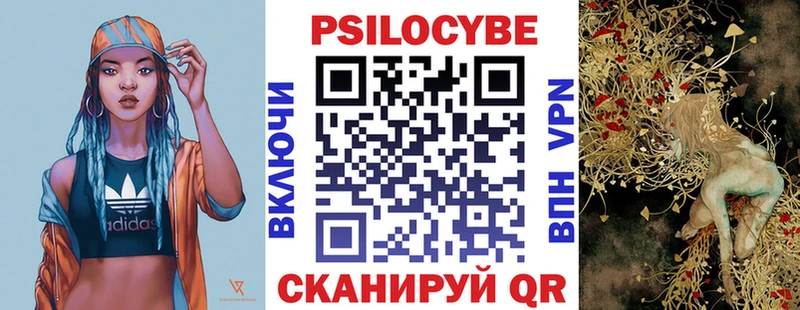 Галлюциногенные грибы Psilocybine cubensis  Кологрив 