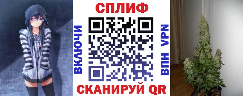 где продают   Кологрив  Марихуана SATIVA & INDICA 